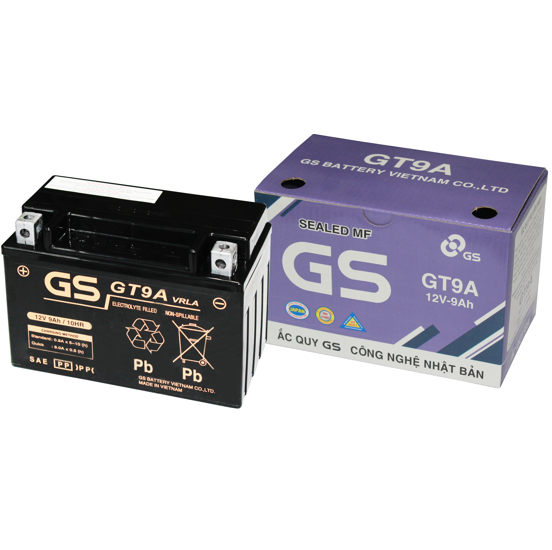 Ắc quy GS GT9A (12v-9ah)