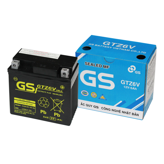 Ắc quy GS GTZ6V (12v-5ah)